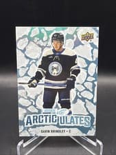 2024-25 Upper Deck Ice Arcticulates Gavin Brindley #AT-48 card