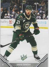 2025-26 Upper Deck AHL Base Set David Spacek #80 card