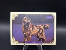 2024 Topps Allen & Ginter Stars of the Show The Westminster Kennel Club Josh #SOS-24 card
