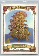 Silver Maple 2021 Topps Allen & Ginter Arboreal Appreciation card