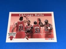 Chicago Bulls 1992-93 Hoops Base Set card