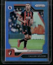 Callum Wilson