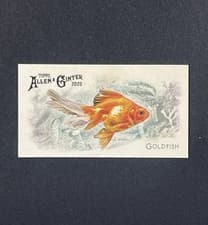 2025 Topps Allen & Ginter 50 Fish From Global Waters (Minis) Goldfish #FGW-5 card