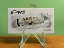 2025 Topps Allen & Ginter 50 Fish From Global Waters (Minis) Grouper #FGW-49 card