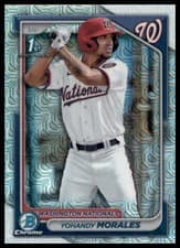 Yohandy Morales