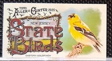 2025 Topps Allen & Ginter State Birds (Minis) Eastern Goldfinch - New Jersey #SB-30 card