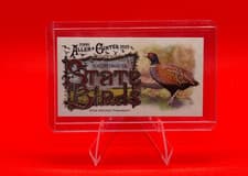 2025 Topps Allen & Ginter State Birds (Minis) Ring-Necked Pheasant - South Dakota #SB-41 card