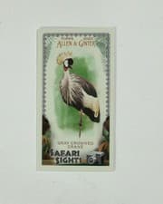 GRAY CROWNED CRANE 2020 Topps Allen & Ginter Safari Sights card