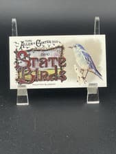 2025 Topps Allen & Ginter State Birds (Minis) Mountain Bluebird - Idaho #SB-12 card