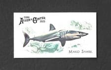 2025 Topps Allen & Ginter 50 Fish From Global Waters (Minis) Mako Shark #FGW-31 card