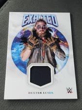 2025 Topps Exalted WWE Wrestling Exalted Relics Dexter Lumis #ER-DLS card
