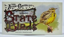 2025 Topps Allen & Ginter State Birds (Minis) Western Meadowlark - Wyoming #SB-50 card