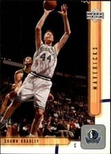 Shawn Bradley