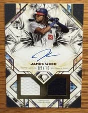 2025 Topps Diamond Icons Single Player Dual Autographed Relics James Wood #SPDRA-JW card