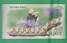 Buggin' Out: Bumblebee 2020 Topps Allen & Ginter Chrome Buggin' Out! Mini card