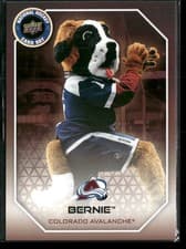 Bernie the St. Bernard 2025 Upper Deck National Hockey Card Day Mascot card