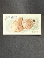 2025 Topps Allen & Ginter 50 Fish From Global Waters (Minis) Blobfish #FGW-19 card