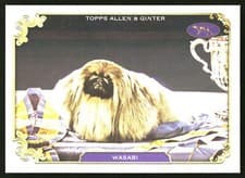 2024 Topps Allen & Ginter Stars Of The Show Wasabi #SOS-12 card