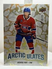 2024-25 Upper Deck Ice Arcticulates Joshua Roy #AT-60 card