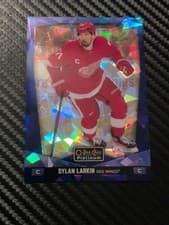 2024-25 O-Pee-Chee Platinum Base Set Dylan Larkin #113 card