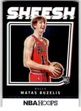 2024-25 Hoops Sheesh Matas Buzelis #5 card