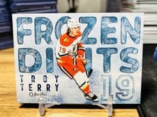 2025-26 O-Pee-Chee Frozen Digits Troy Terry #FD-19 card