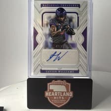 2025 Panini National Treasures Collegiate Rookie Signatures Savion Williams #22 card
