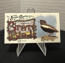 2025 Topps Allen & Ginter State Birds (Minis) Lark Bunting - Colorado #SB-6 card