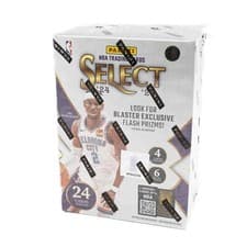 2024-25 Panini Select Artistic Selections LeBron James #6 card