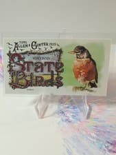 2025 Topps Allen & Ginter State Birds (Minis) Robin - Wisconsin #SB-49 card