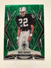 Mike Haynes