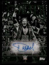2025 Topps Exalted WWE Wrestling Black and White Signatures Diesel #BWS-DSL card