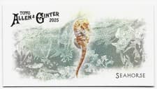2025 Topps Allen & Ginter 50 Fish From Global Waters (Minis) Seahorse #FGW-16 card
