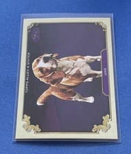 2024 Topps Allen & Ginter Stars Of The Show Uno #SOS-20 card