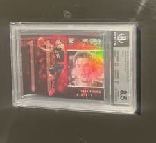 Trae Young