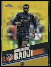 Dominique Badji