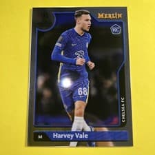 Harvey Vale