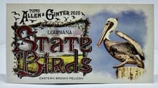2025 Topps Allen & Ginter State Birds (Minis) Eastern Brown Pelican - Louisiana #SB-18 card