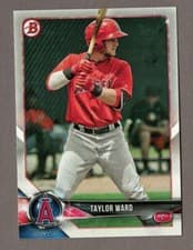 Taylor Ward
