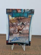 2025 Topps Exalted WWE Wrestling Elevated Ink Axiom #ELI-AXM card