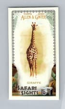 GIRAFFE 2020 Topps Allen & Ginter Safari Sights card