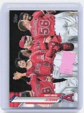 Los Angeles Angels