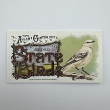 2025 Topps Allen & Ginter State Birds (Minis) Northern Mockingbird - Arkansas #SB-4 card