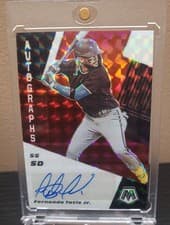 Fernando Tatis Jr.