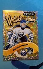 2024-25 Upper Deck Synergy Waffleboarded Dominik Hasek #WB-14 card