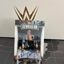 2025 Topps Exalted WWE Wrestling Elevated Ink Diamond Dallas Page #ELI-DDP card