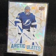 2024-25 Upper Deck Ice Arcticulates Andrei Vasilevskiy #AT-28 card