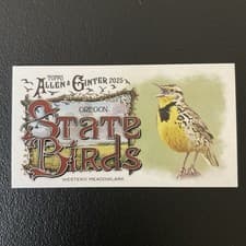 2025 Topps Allen & Ginter State Birds (Minis) Western Meadowlark - Oregon #SB-37 card