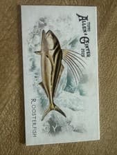 2025 Topps Allen & Ginter 50 Fish From Global Waters (Minis) Roosterfish #FGW-22 card