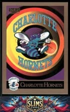 Charlotte Hornets Logo/Checklist